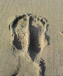 footprint